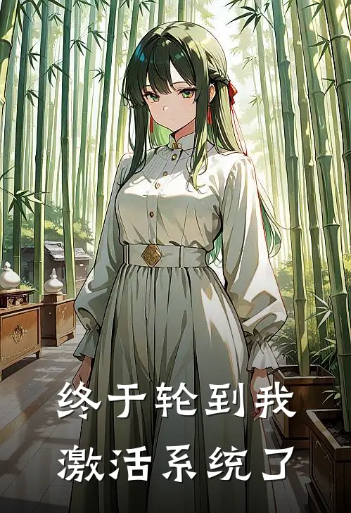 终于轮到我激活系统了