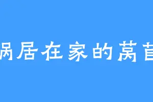 蜗居在家的莴苣