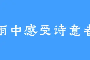 雨中感受诗意者