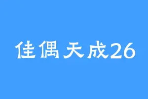 佳偶天成26
