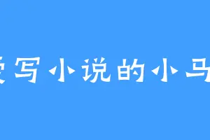 爱写小说的小马o