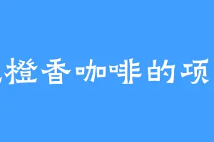 爱吃橙香咖啡的项云正