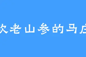喜欢老山参的马庄主