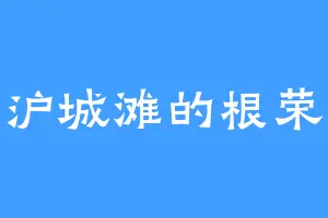 沪城滩的根荣