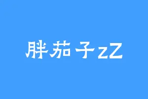 胖茄子zZ