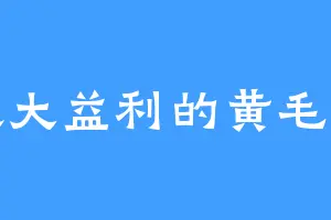 喜欢大益利的黄毛小子