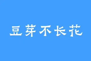 豆芽不长花