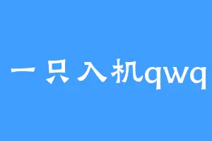 一只入机qwq