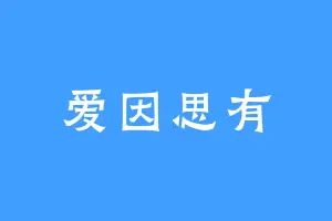 爱因思有