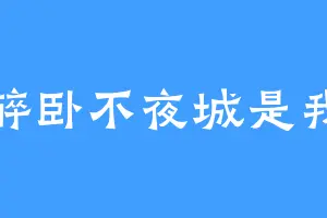 醉卧不夜城是我