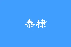 秦棣