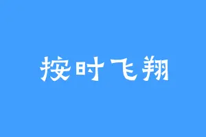 按时飞翔