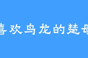 喜欢鸟龙的楚母