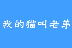 我的猫叫老弟