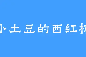 小土豆的西红柿