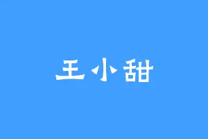 王小甜