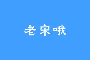 老宋哦