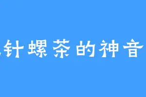 爱吃针螺茶的神音女王