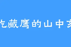 爱吃藏鹰的山中亥一