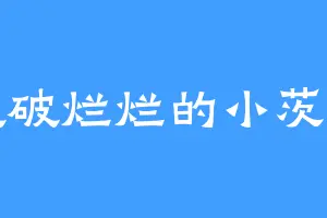 破破烂烂的小茨冈