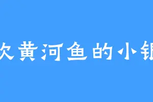 喜欢黄河鱼的小银子