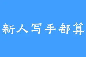 一个新人写手都算不上