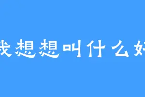 我想想叫什么好