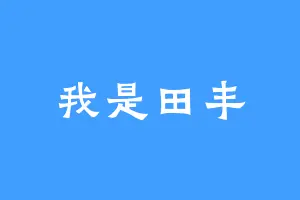 我是田丰