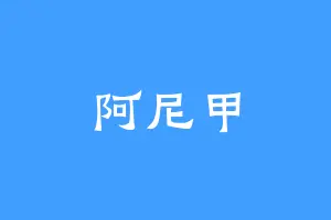 阿尼甲