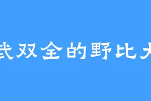 文武双全的野比大助