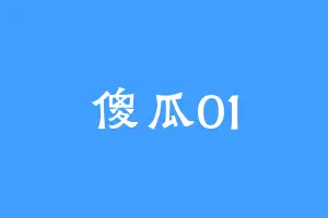 傻瓜01