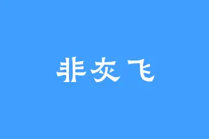 非灰飞