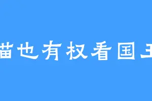 猫也有权看国王