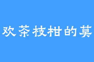 喜欢茶枝柑的莫无