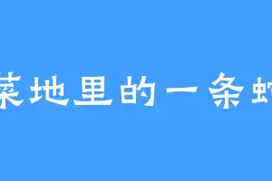 菜地里的一条蛇