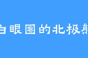 白眼圈的北极熊
