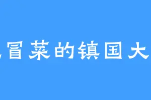 爱吃冒菜的镇国大公主