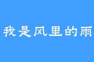 我是风里的雨