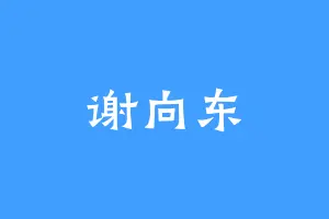谢向东
