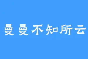 曼曼不知所云