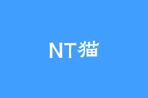 NT猫