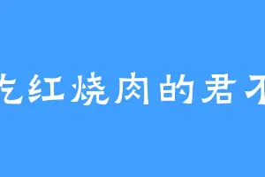 爱吃红烧肉的君不笑