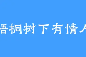 梧桐树下有情人