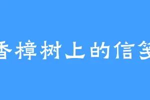 香樟树上的信笺