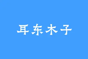 耳东木子