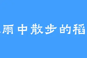 喜欢雨中散步的稻花香