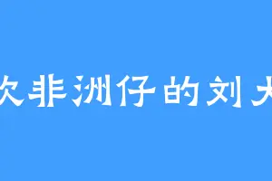 喜欢非洲仔的刘大全