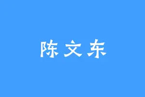 陈文东