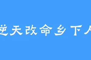 逆天改命乡下人