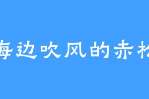 海边吹风的赤松
